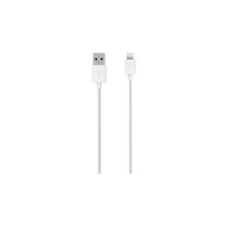 Belkin Charge/Sync Cable - Cable Lightning - Lightning (M) a USB (M) - 2 m - blanco - para Apple iPad/iPhone/iPod (Lightning)