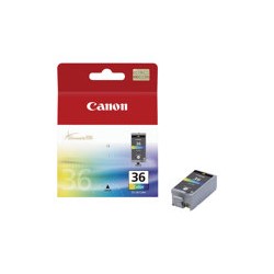 Canon CLI-36 Color - Color (cian, magenta, amarillo, negro) - original - cartucho de tinta - para PIXMA iP100, iP100 Bundle, iP100 with battery, iP100wb, iP110, mini260, mini320