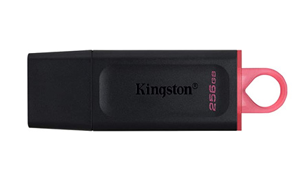 Kingston - USB flash drive - 256 GB - DTX/256GB