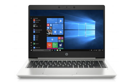 HP ProBook 445 G7 - Ryzen 5 4500U / 2.3 GHz - 8GB RAM - 256 GB SSD - Win 10 Pro