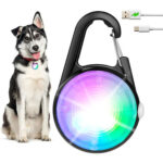 Pack de 2 Luces de collar para perro, 4 modos de luces, recargable e impermeable